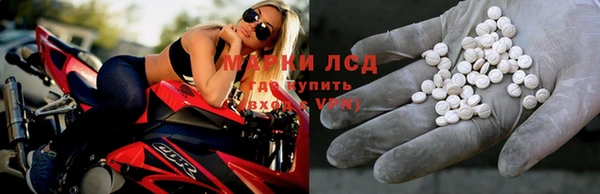 гидропоника Елизово