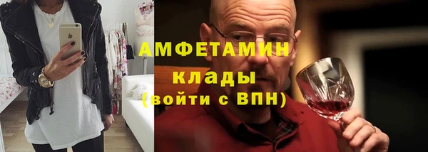 гашик Янаул