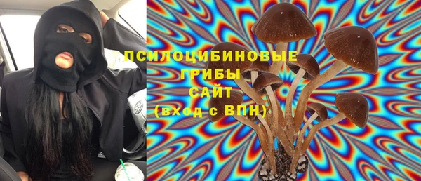 кокс Корсаков