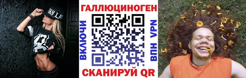 Галлюциногенные грибы Psilocybine cubensis  Дальнегорск 