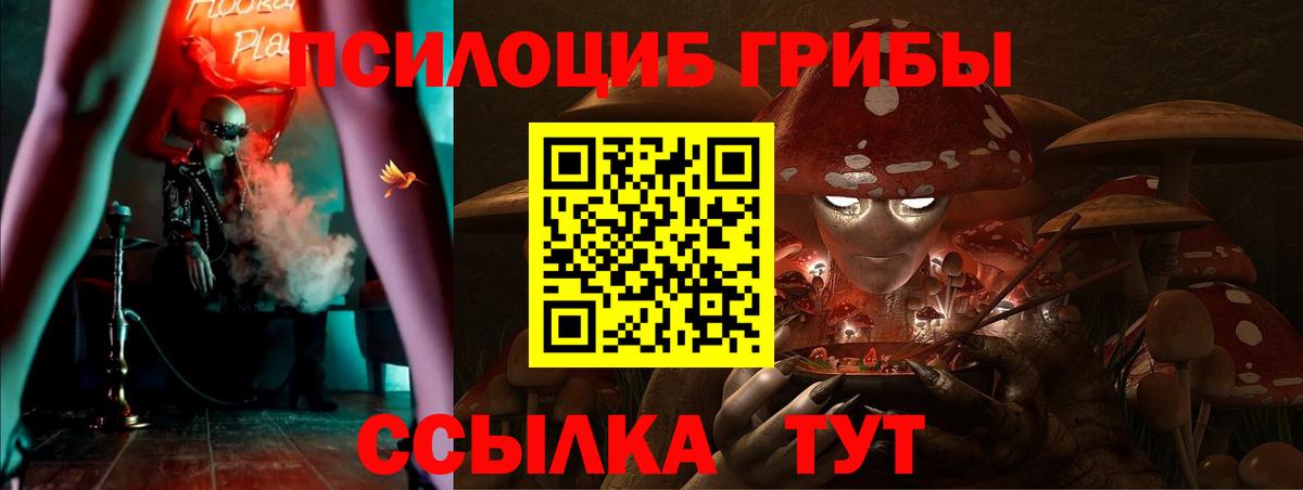 Галлюциногенные грибы мицелий  Вход с VPN  Дальнегорск 